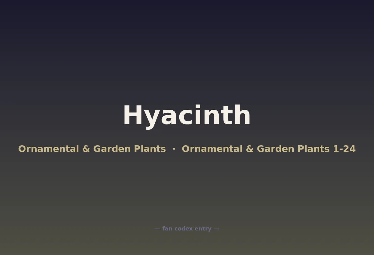 Hyacinth