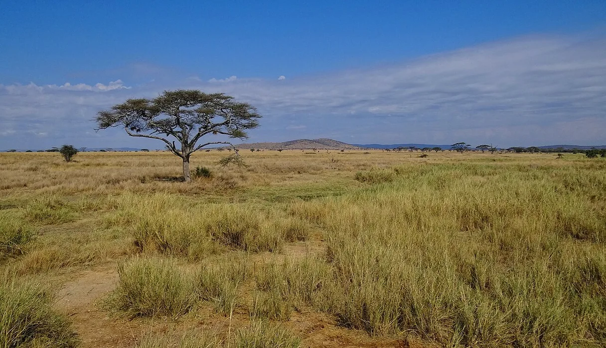 Ngorongoro Conservation Area