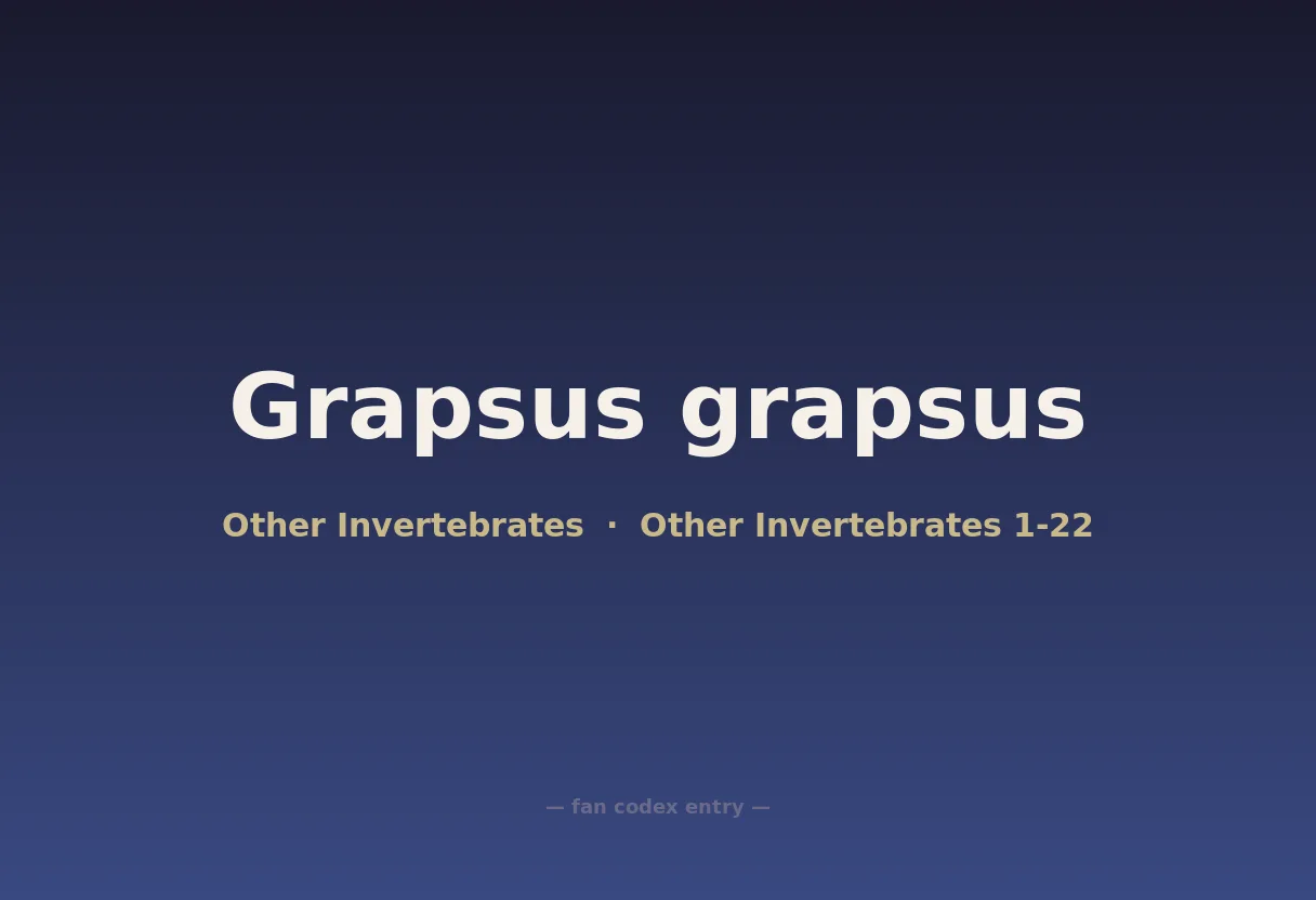 Grapsus grapsus