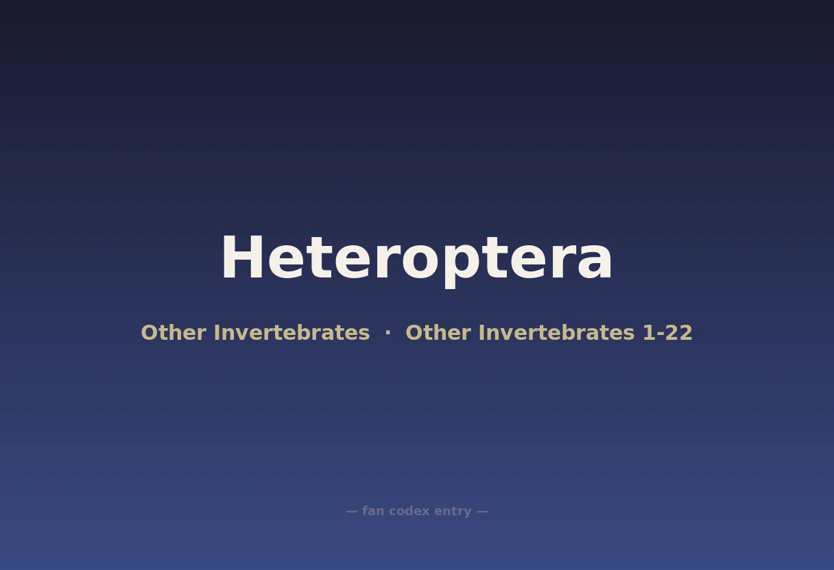 Heteroptera