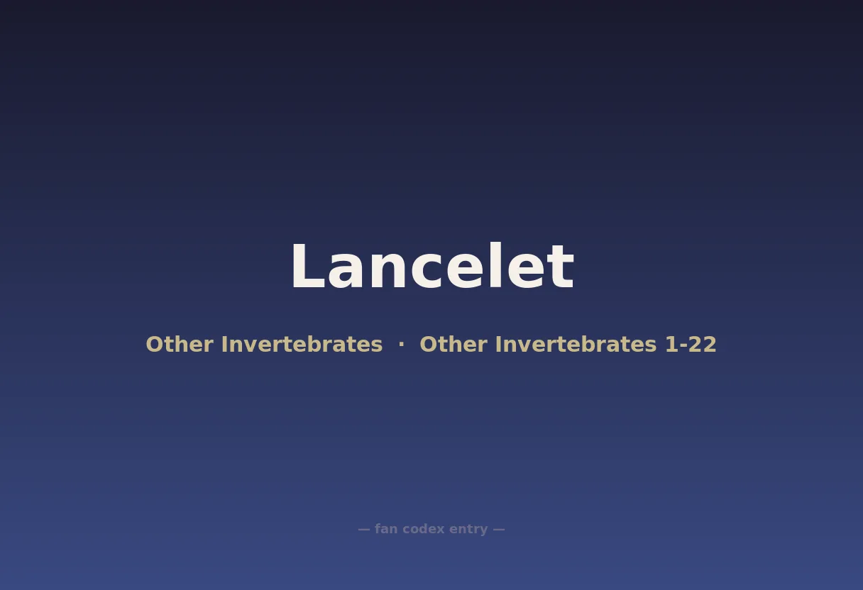 Lancelet
