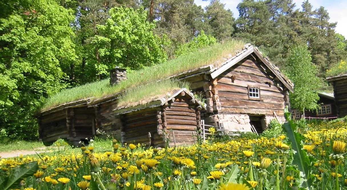 Old Man's Cabin
