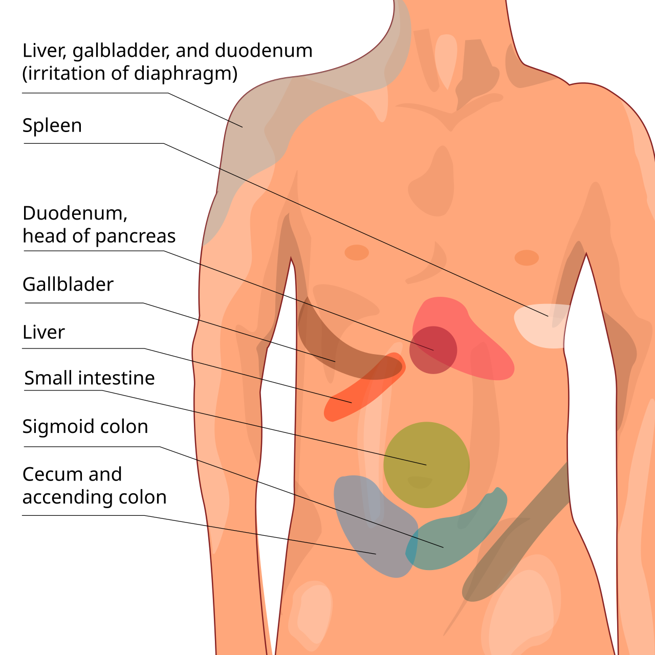 Abdominal pain