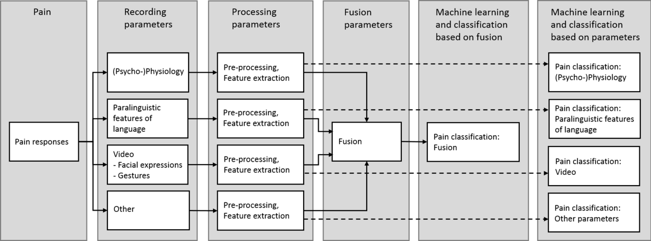 Automated Pain Recognition