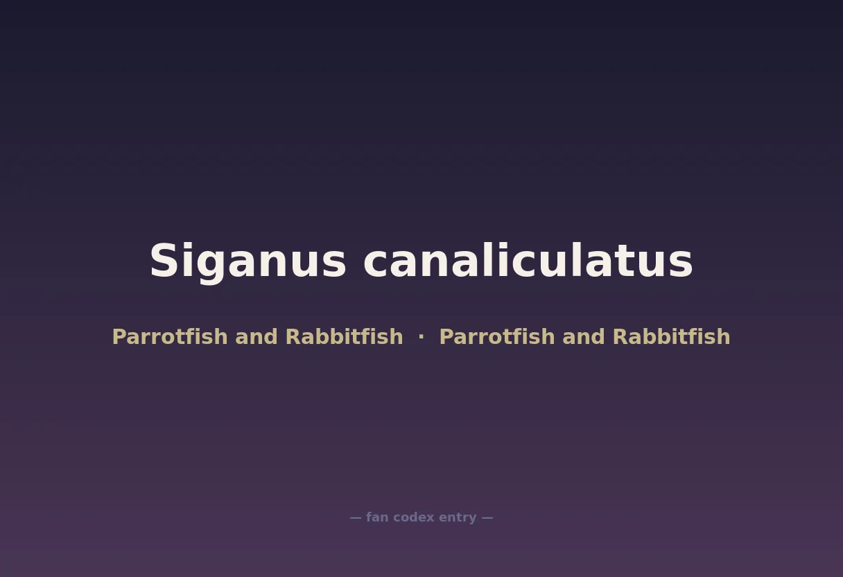 Siganus canaliculatus