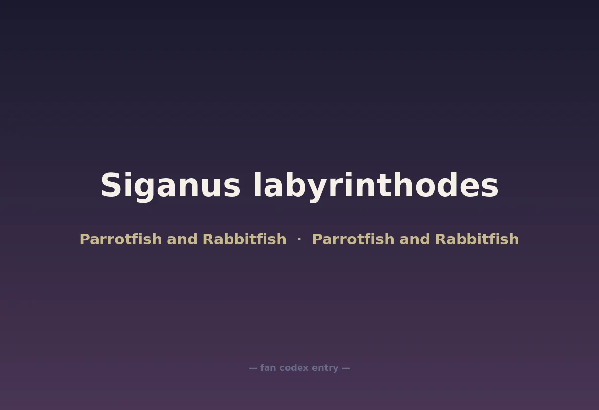 Siganus labyrinthodes