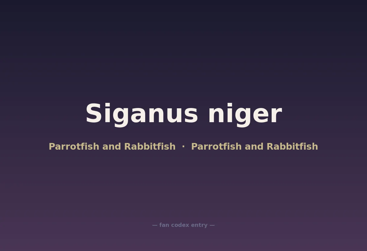 Siganus niger