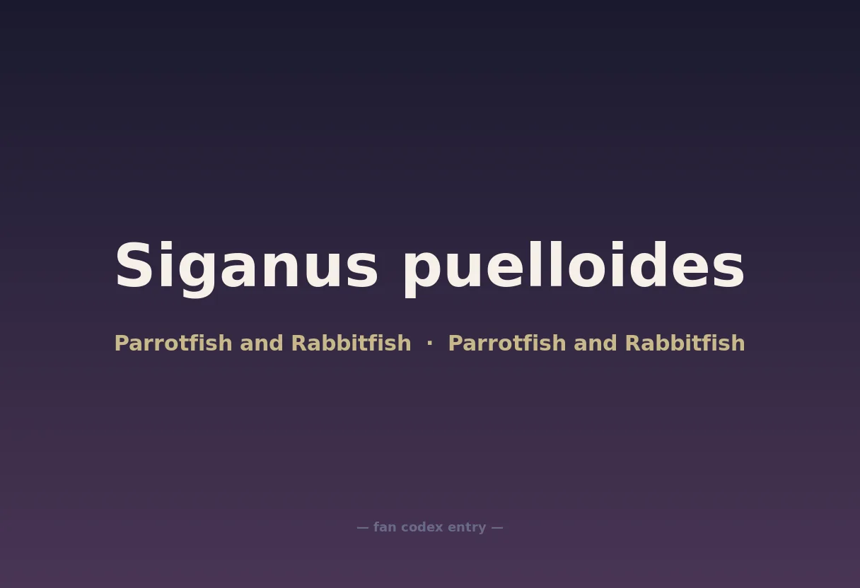 Siganus puelloides