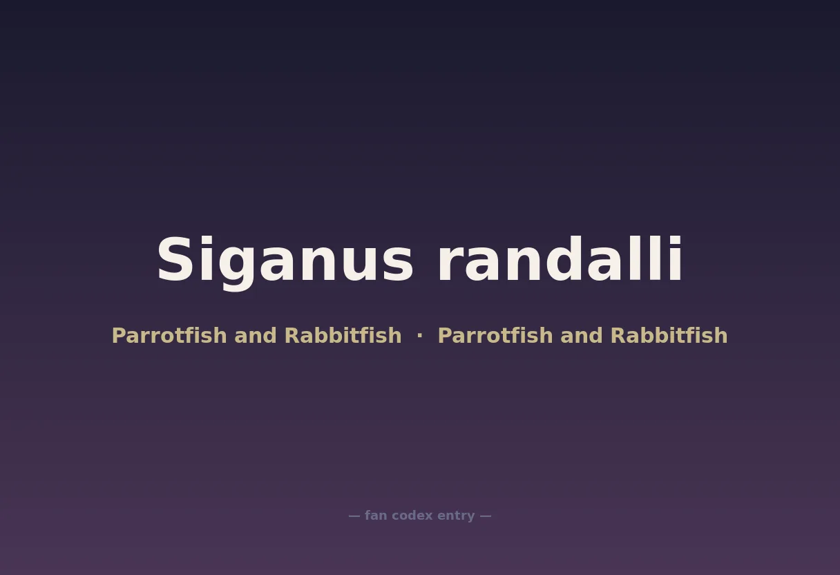 Siganus randalli
