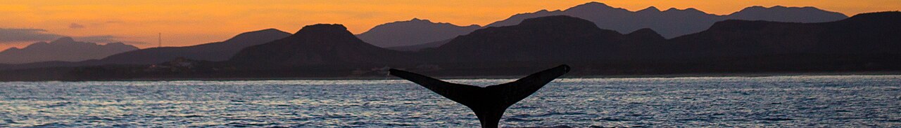 Baja California peninsula