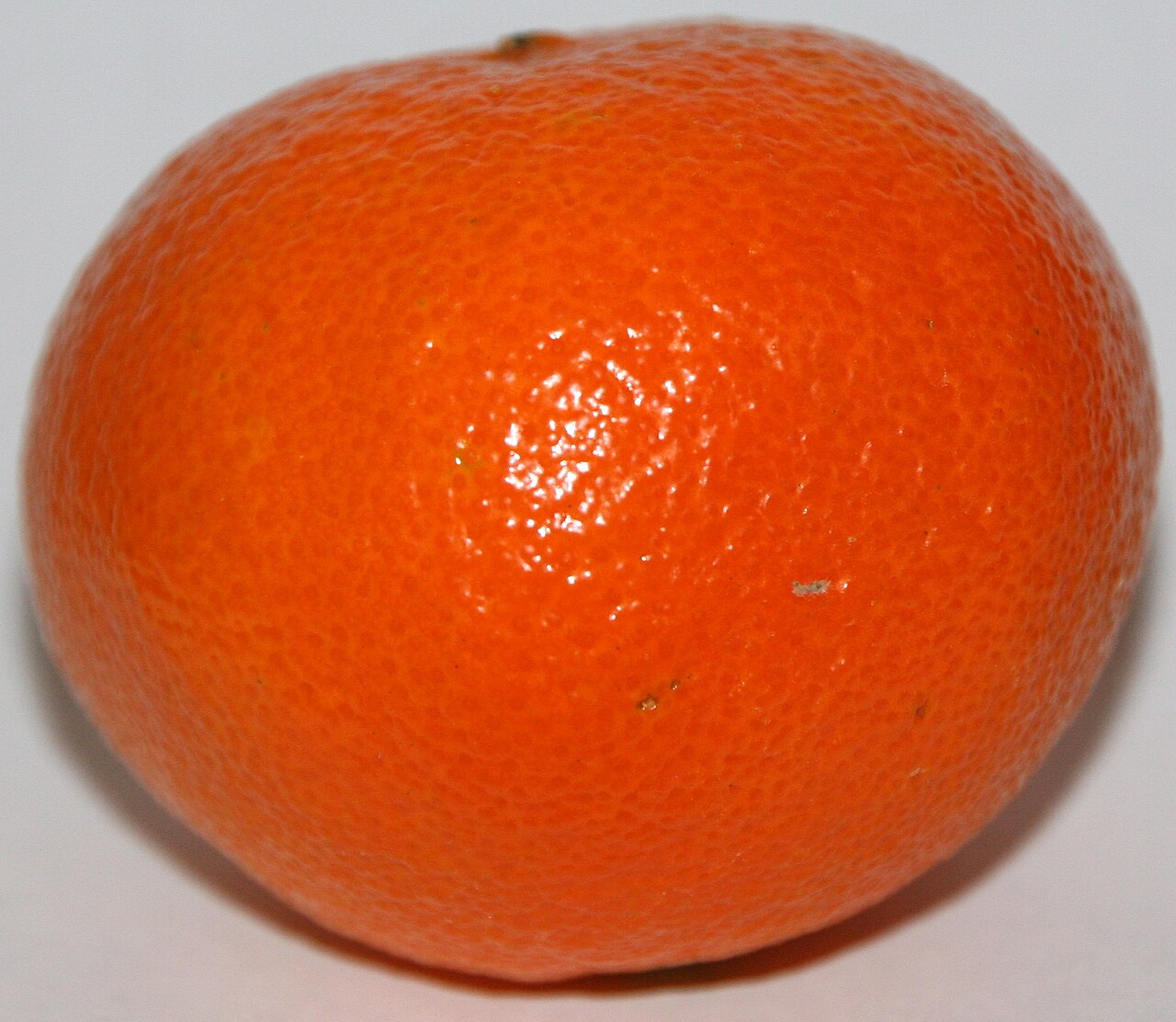Clementine