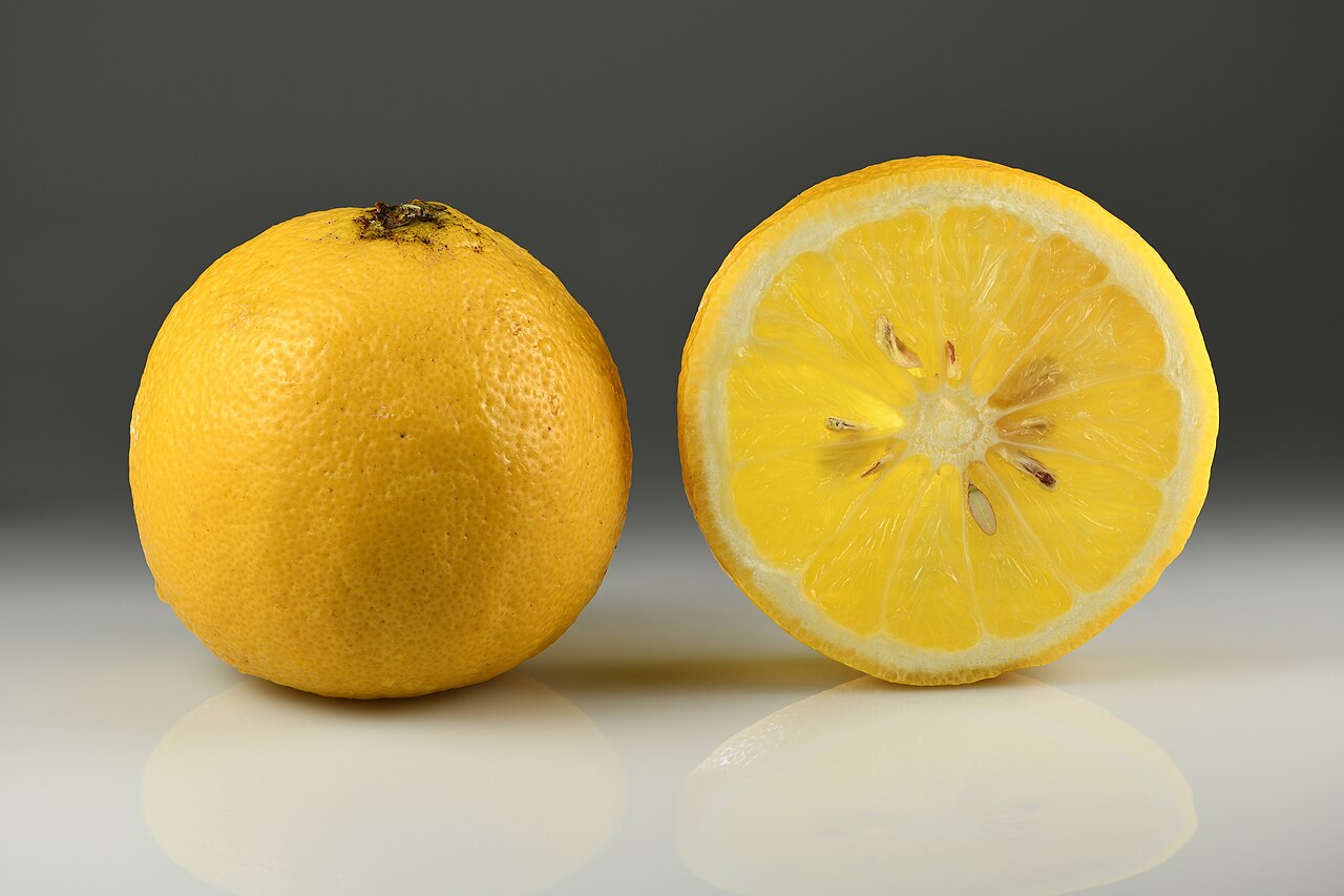 Bergamot orange - whole and slice