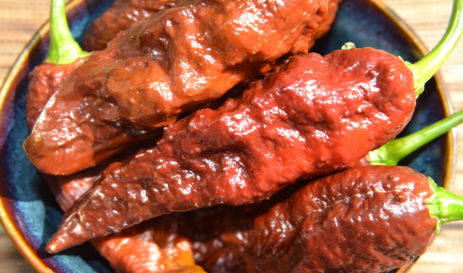 Chocolate Bhut Jolokia Ghost Pepper