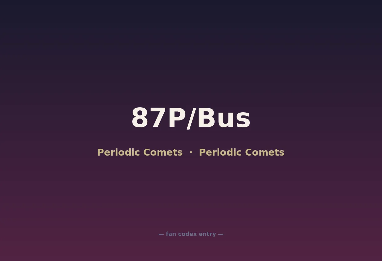 87P/Bus