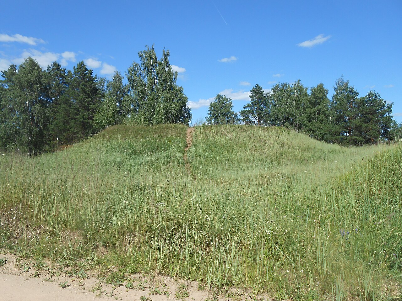 Gnezdovo complex - Central kurgan group