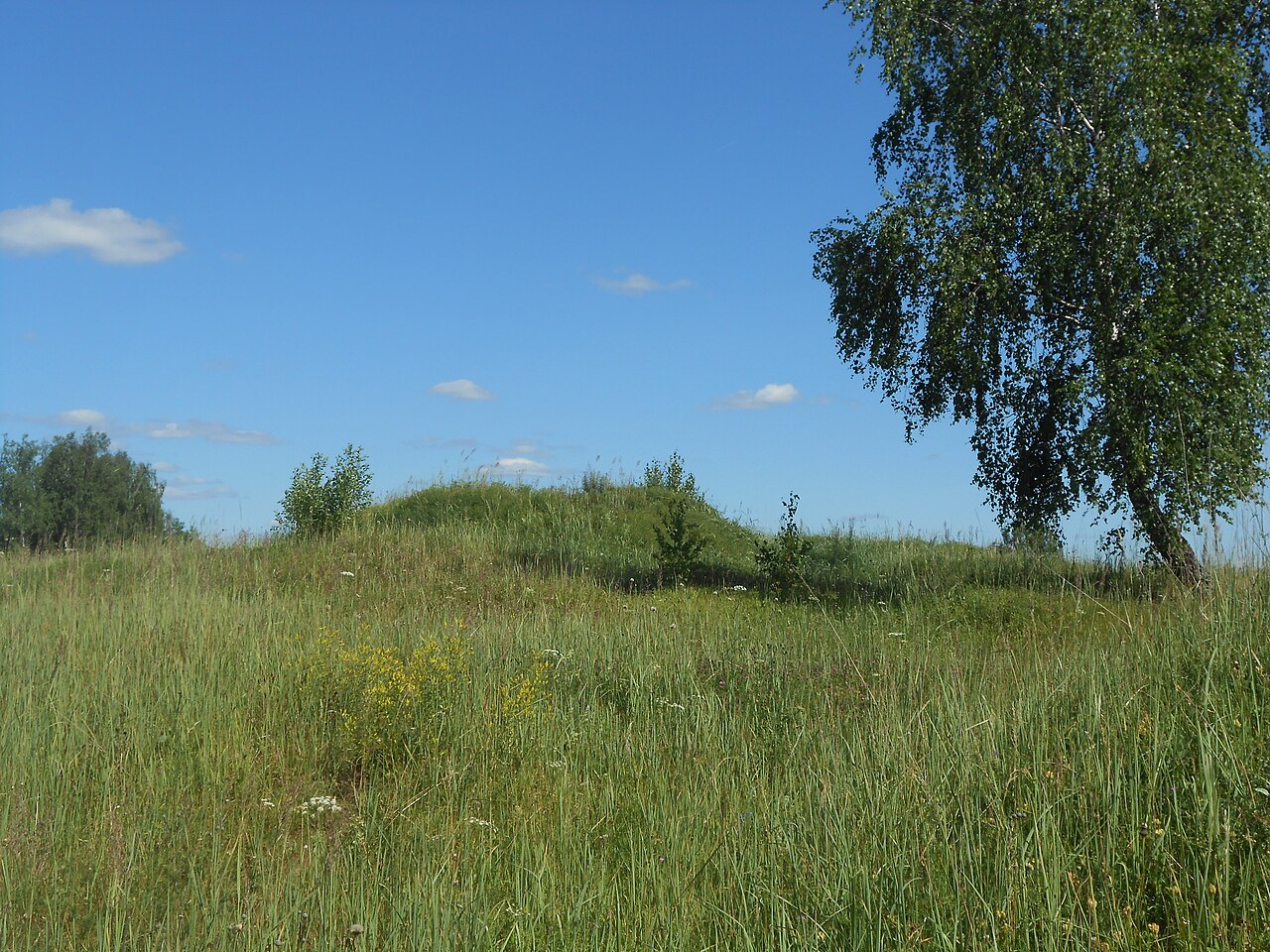 Gnezdovo complex - Central kurgan group