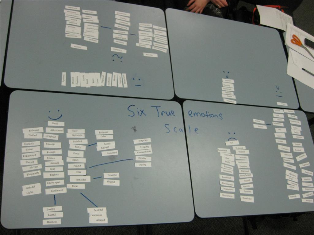 Emotion Q-sort Group 3 (1) (Large)