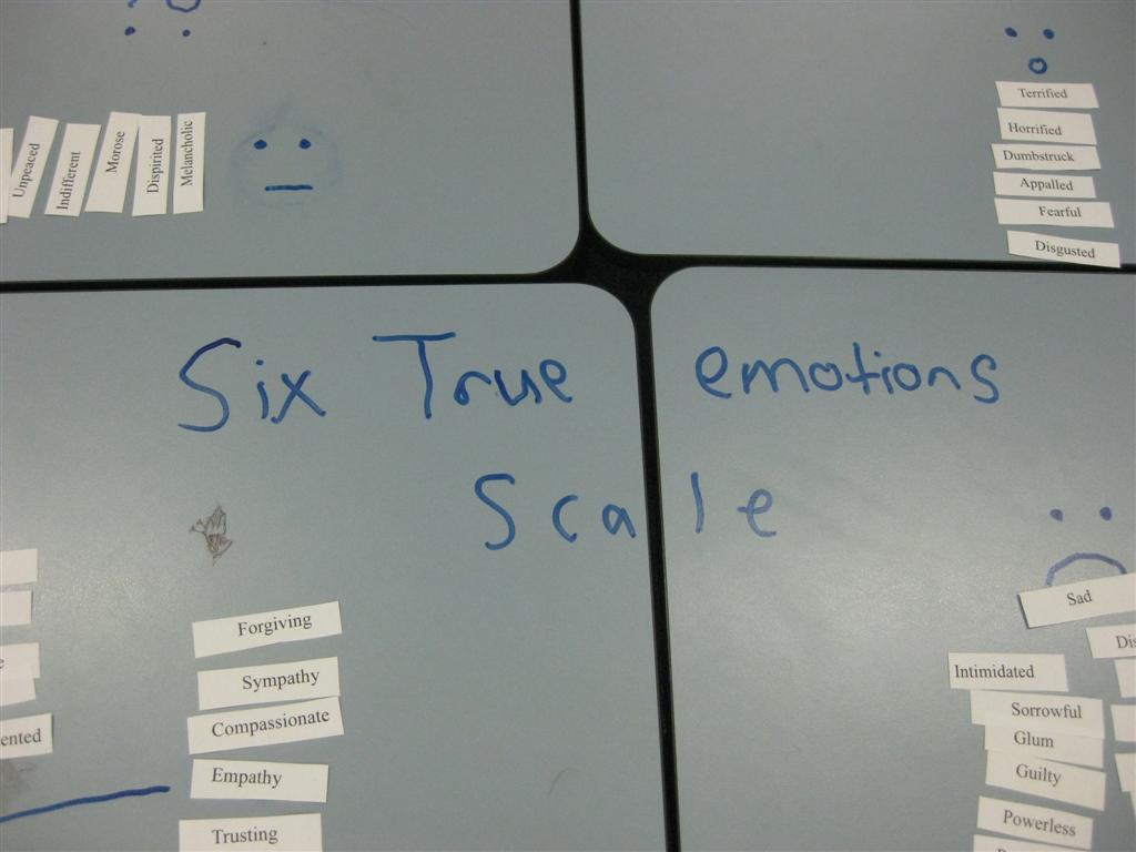 Emotion Q-sort Group 3 (2) (Large)