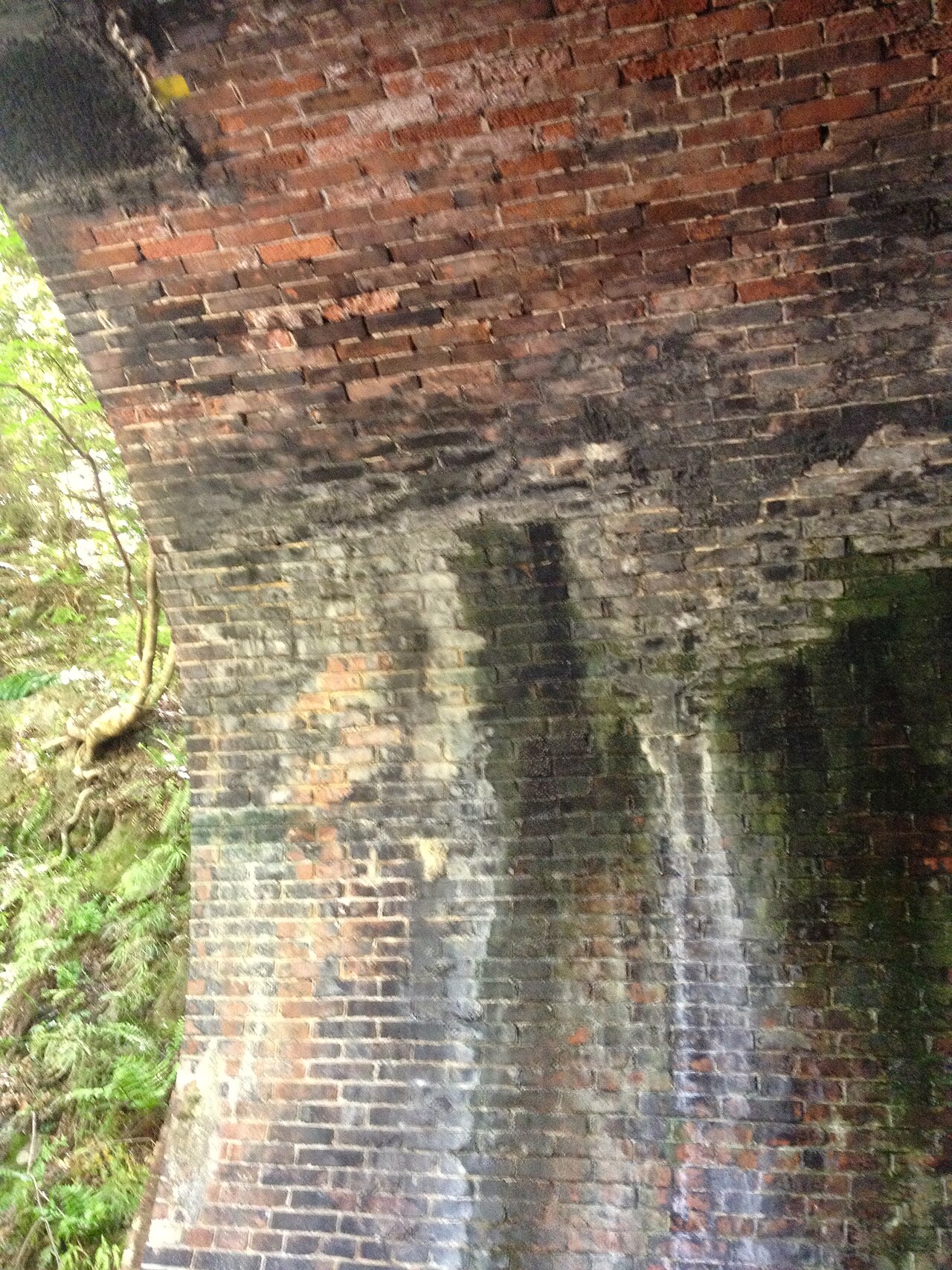 Aigi Tunnel Group - 4