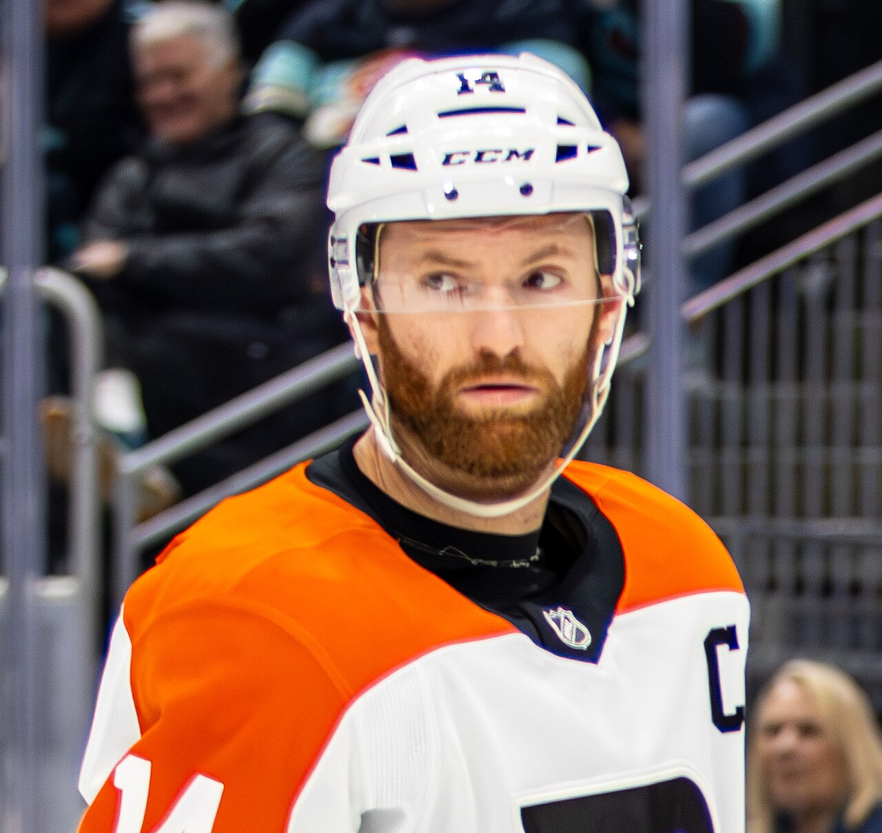 Couturier 10-17-2024 (cropped)