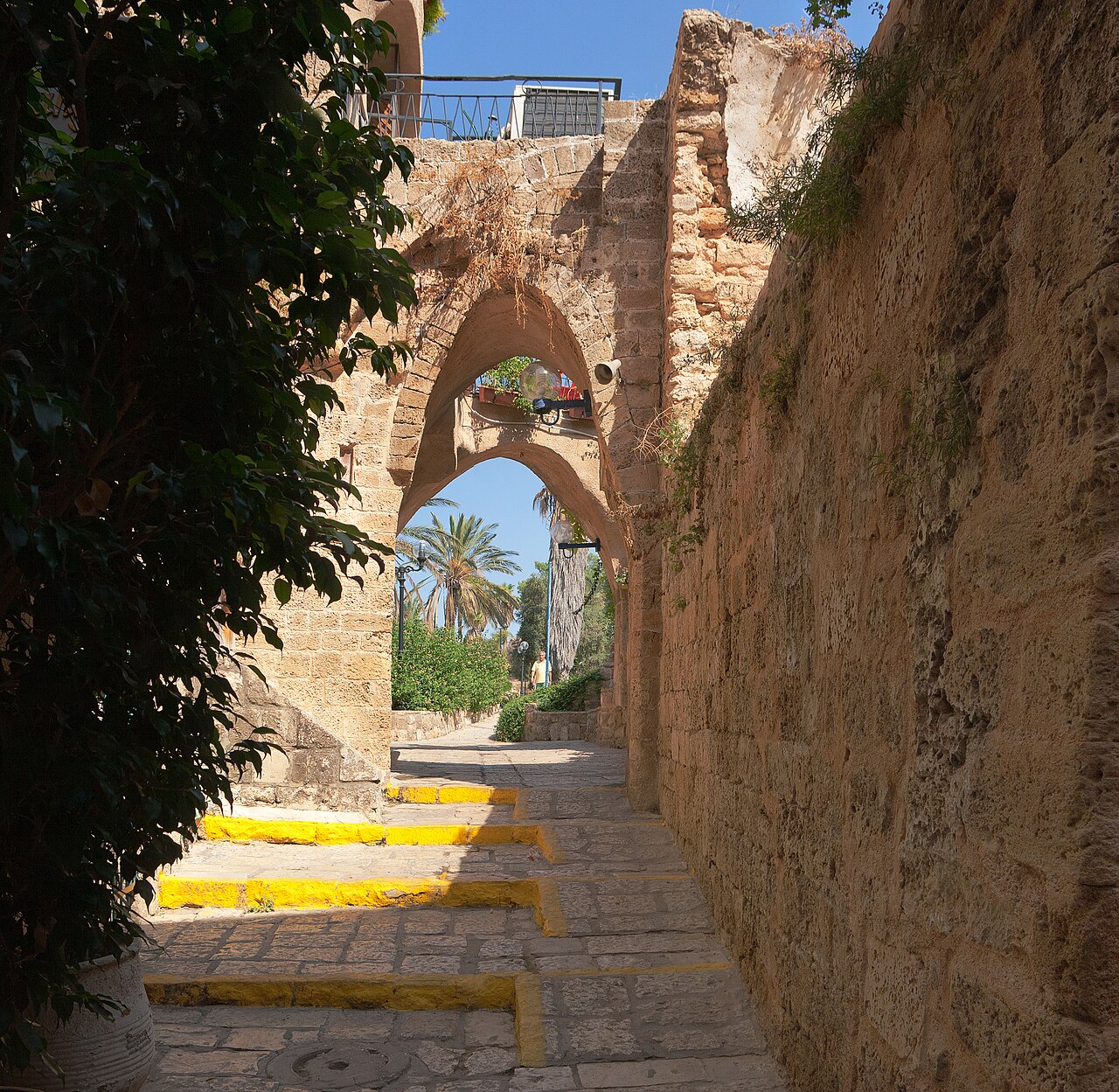 Dagim