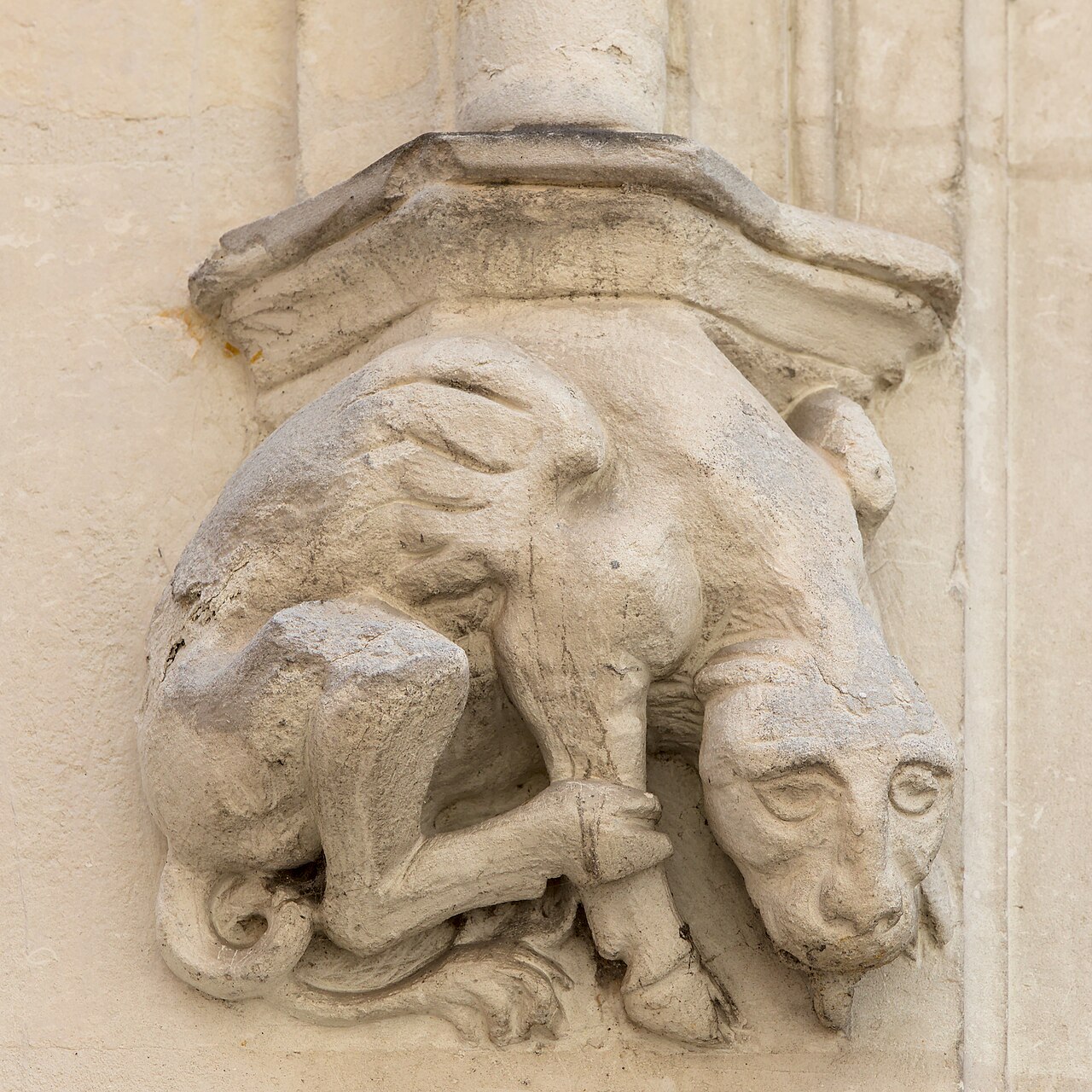 Chinon - 59 rue Jean-Jacques Rousseau - 4