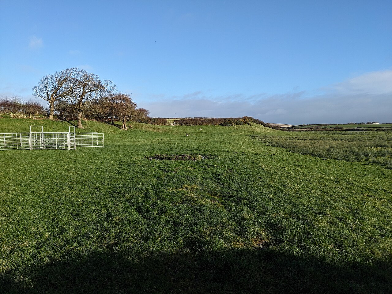 An interesting contour line near Goadsbarrow Farm - geograph.org.uk