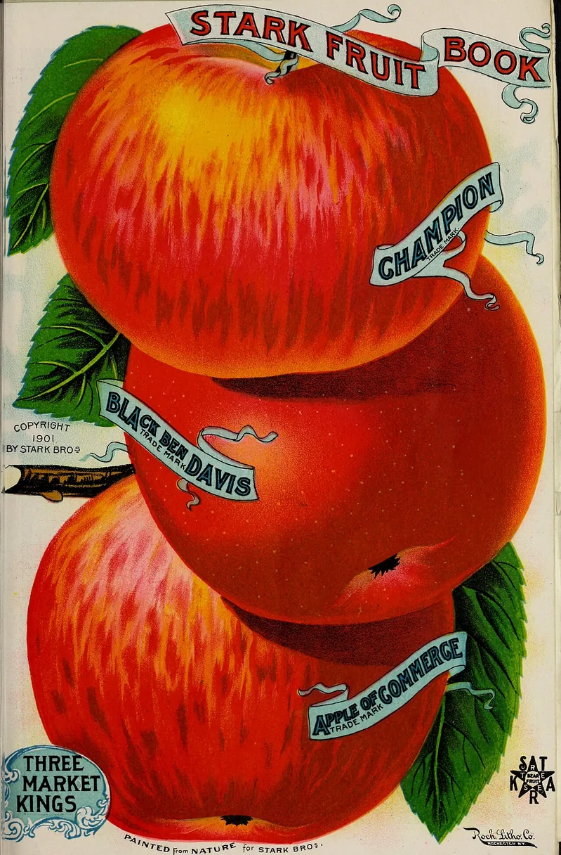 Red Cubic Fruit