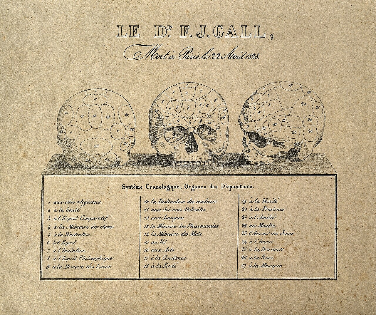 Franz Joseph Gall. Lithograph by Ducarme (detail) after Legr Wellcome