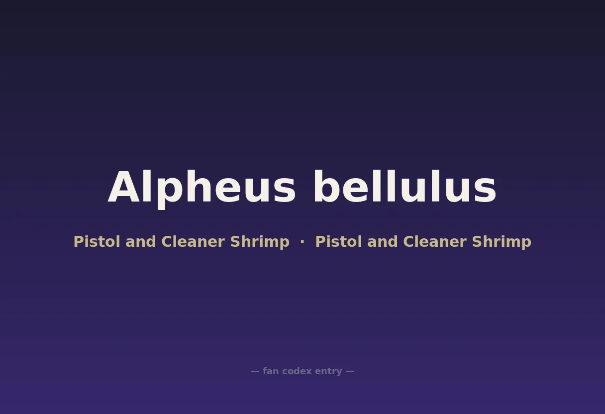 Alpheus bellulus