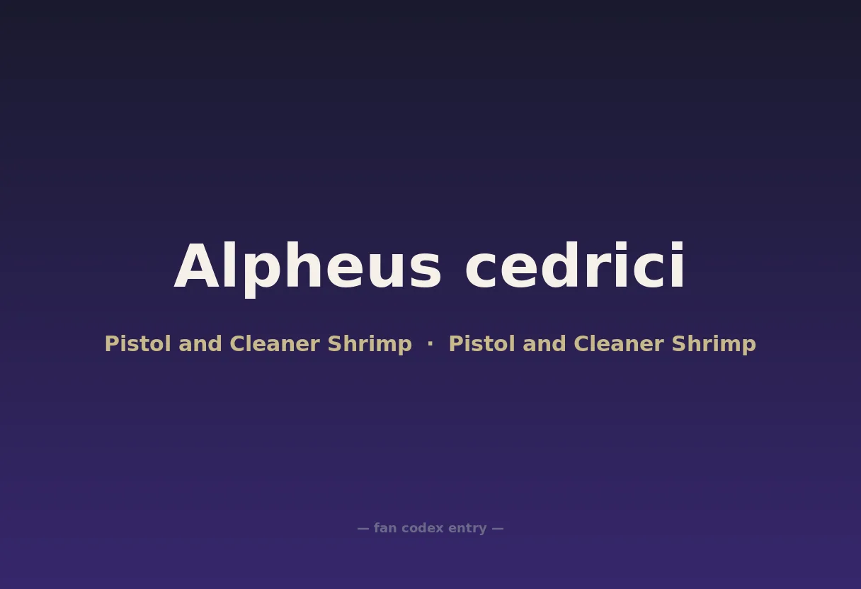 Alpheus cedrici