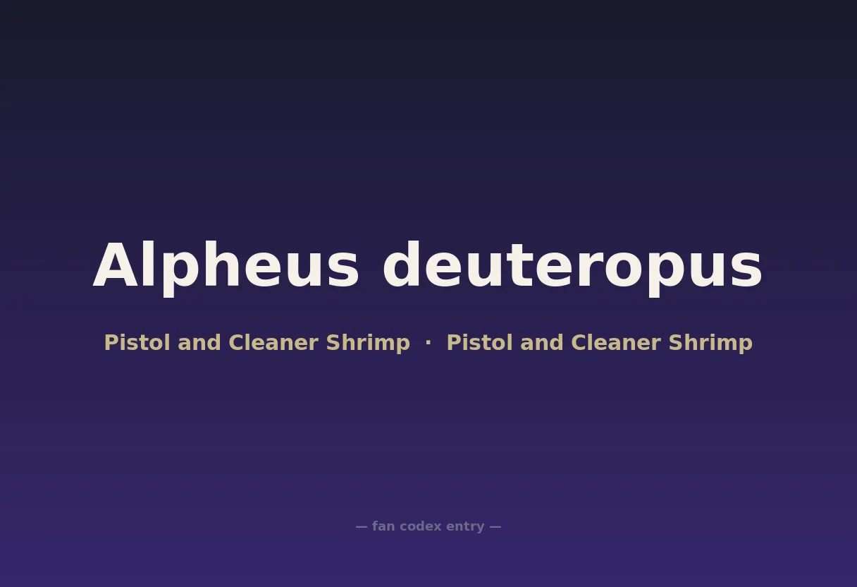 Alpheus deuteropus