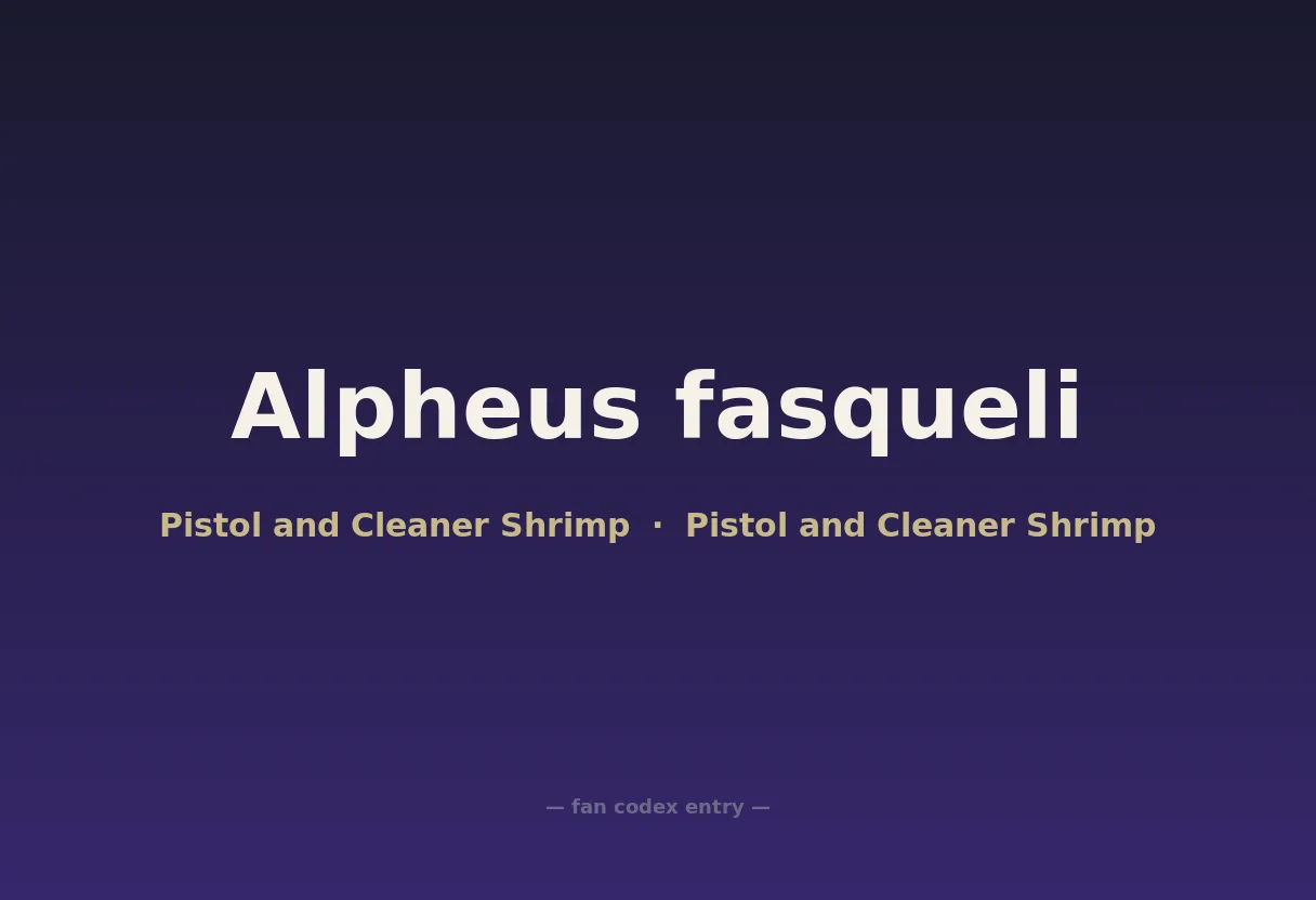 Alpheus fasqueli