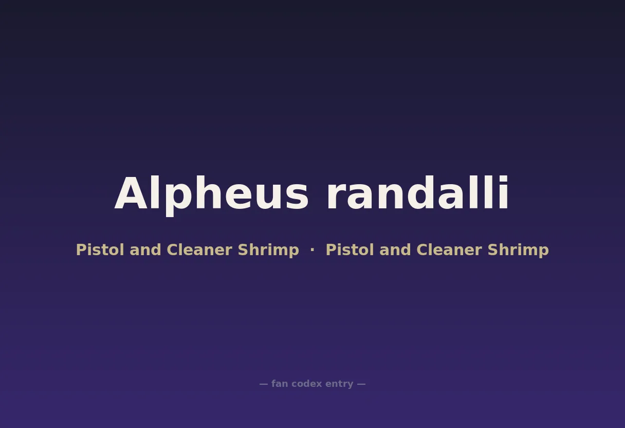 Alpheus randalli