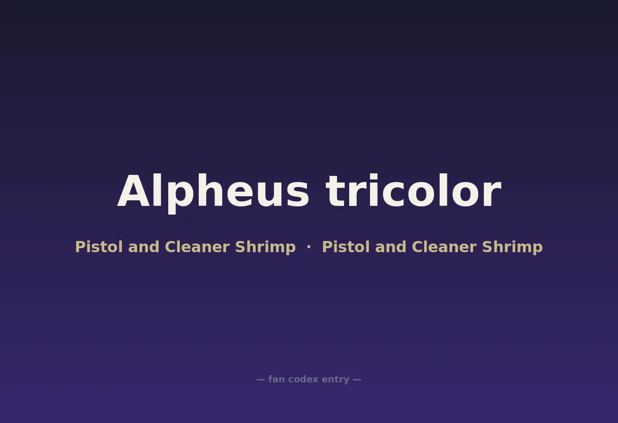 Alpheus tricolor