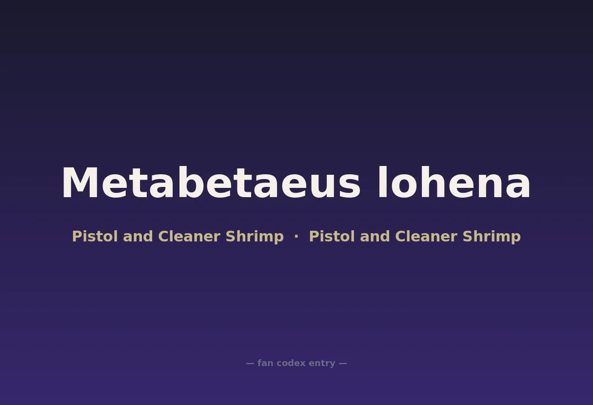 Metabetaeus lohena