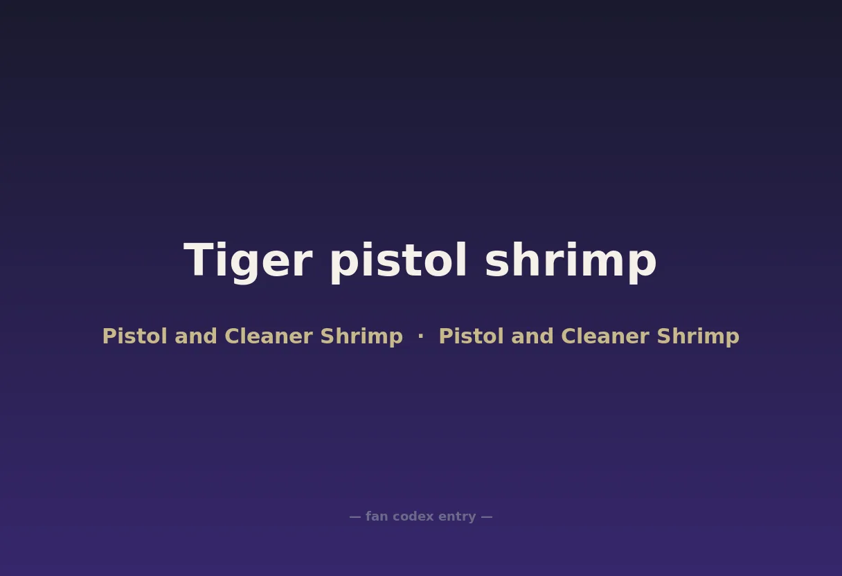 Tiger pistol shrimp