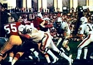 Miami Dolphins