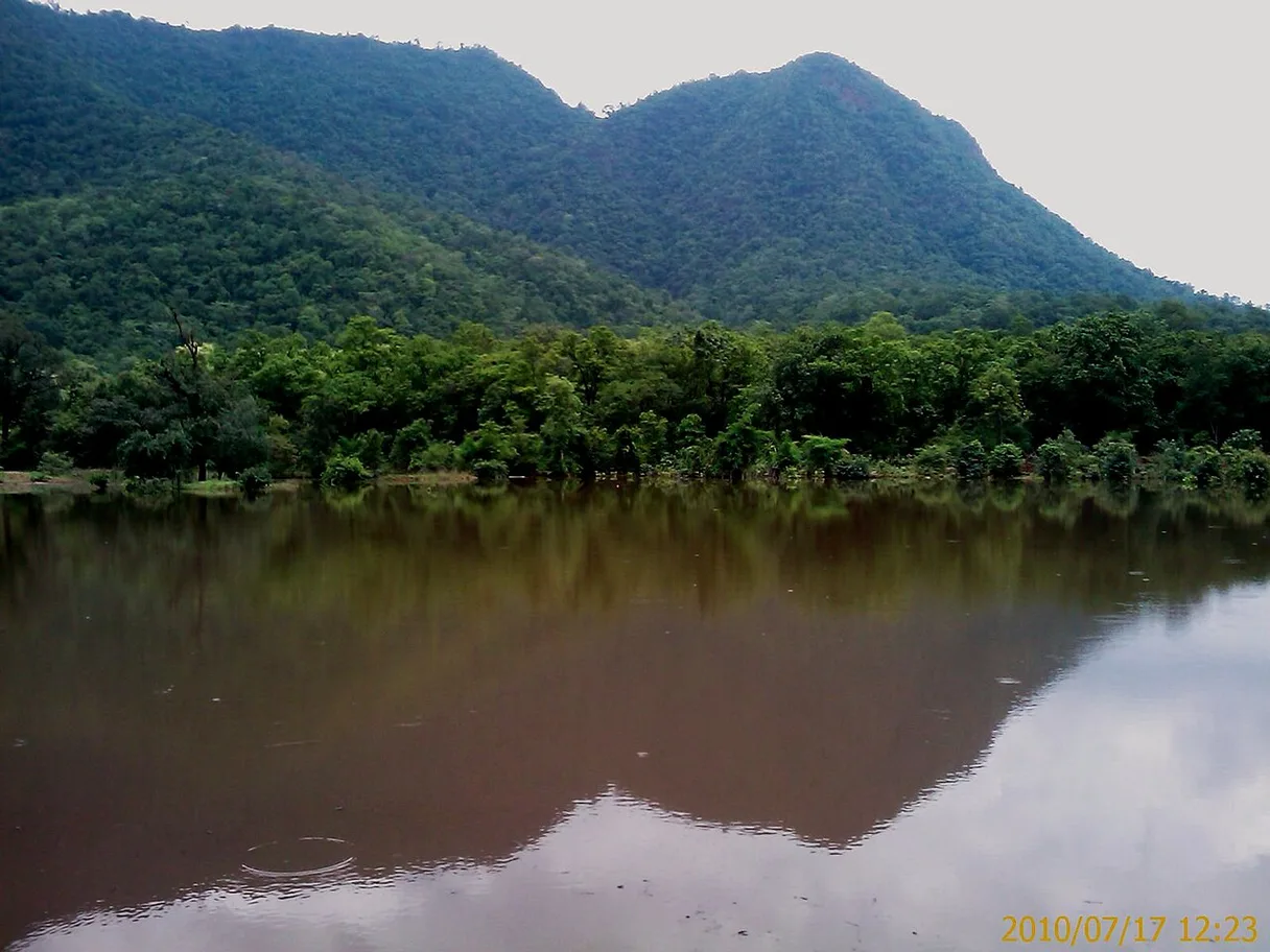 Gandhamardan Hills