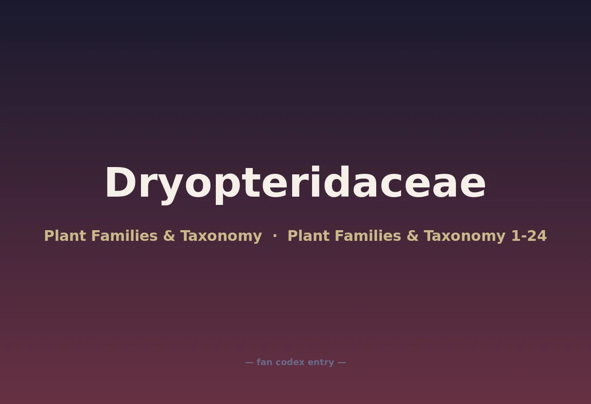 Dryopteridaceae