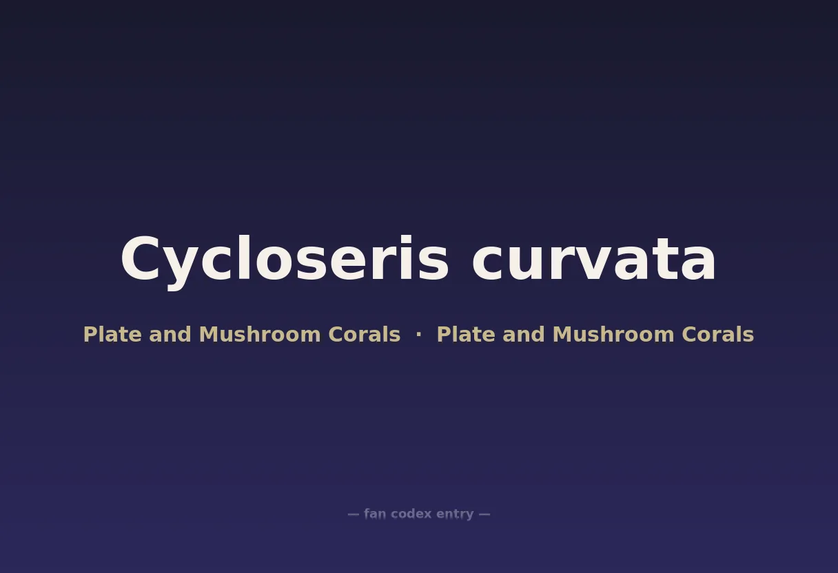 Cycloseris curvata
