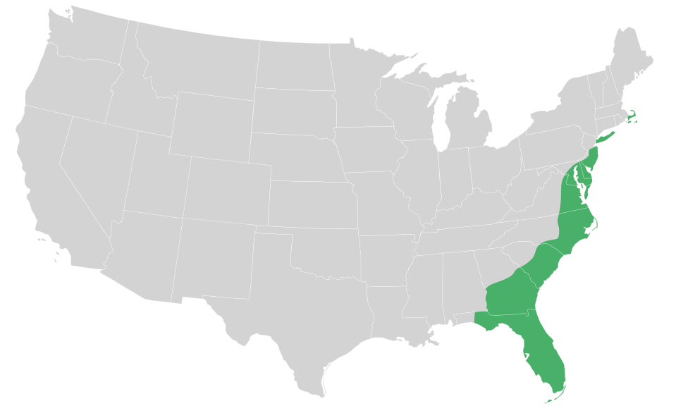 Atlantic Plain
