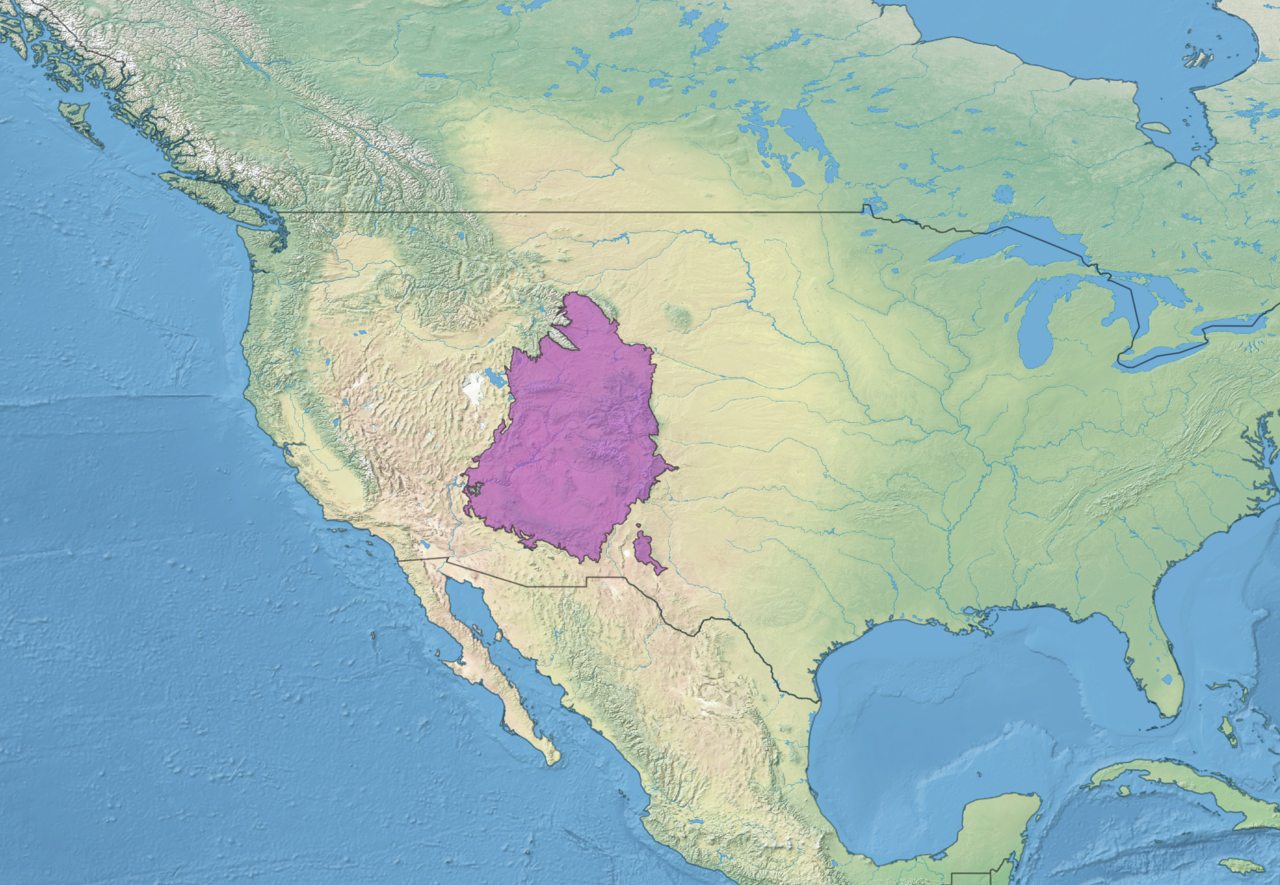 Colorado Plateau