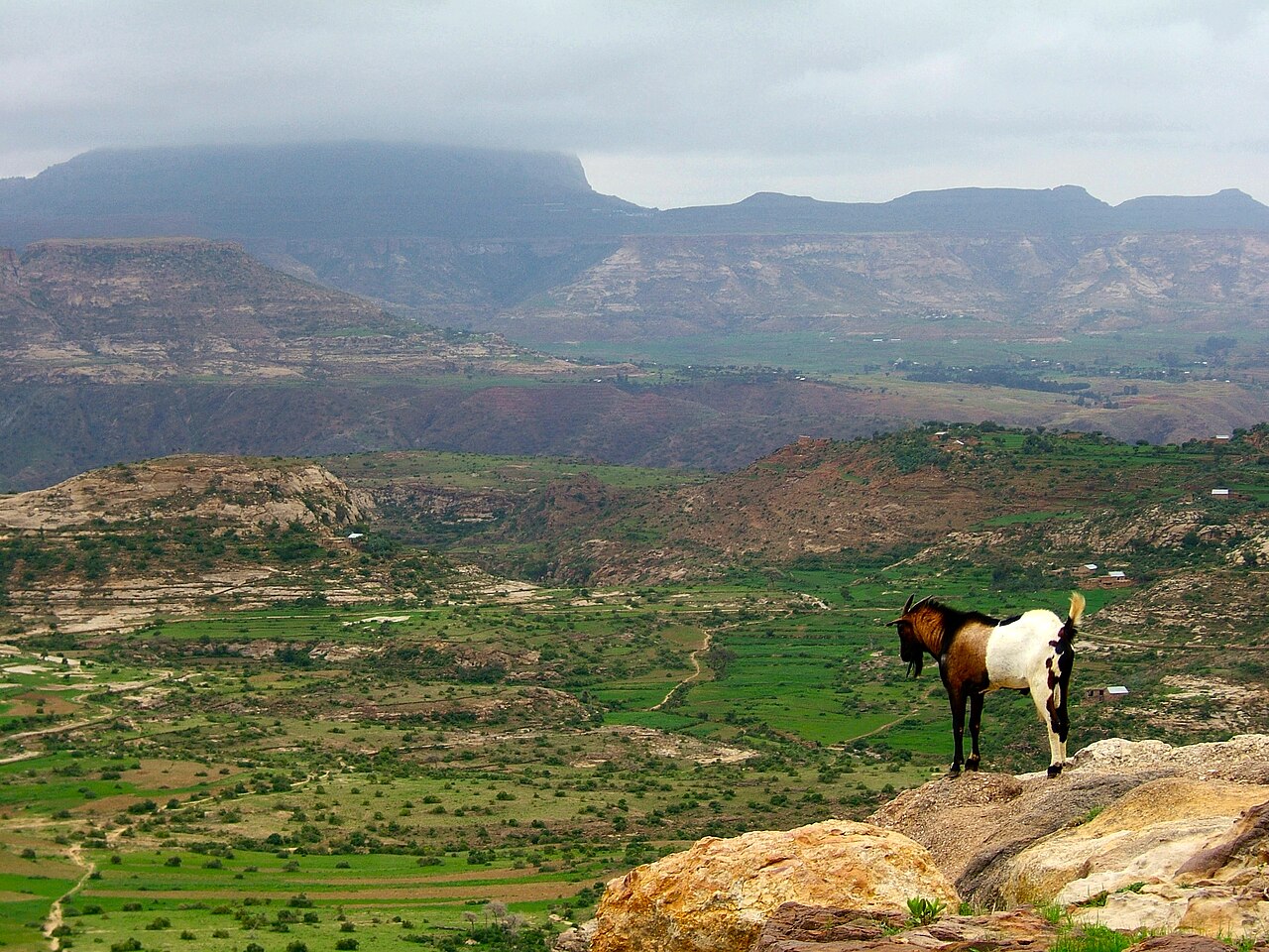 Ethiopian Highlands