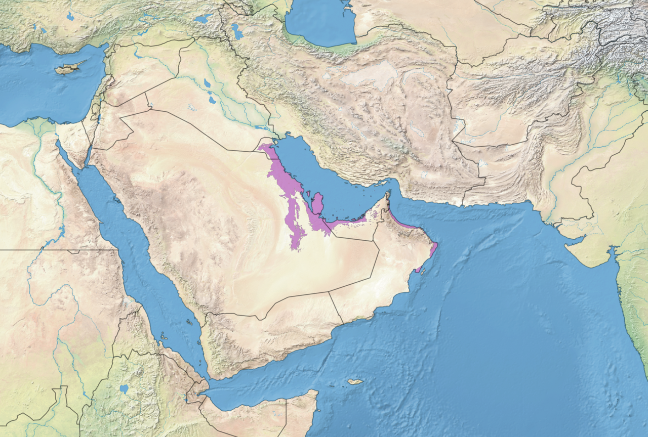 Gulf Coastal Plain