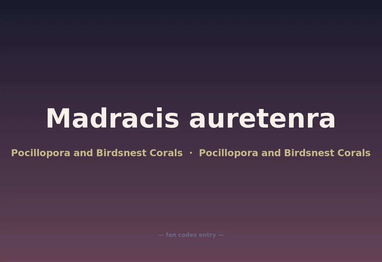 Madracis auretenra