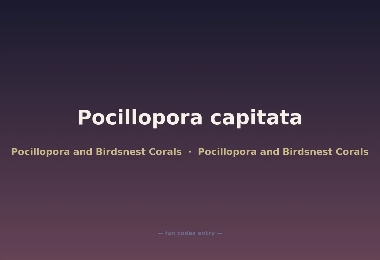 Pocillopora capitata