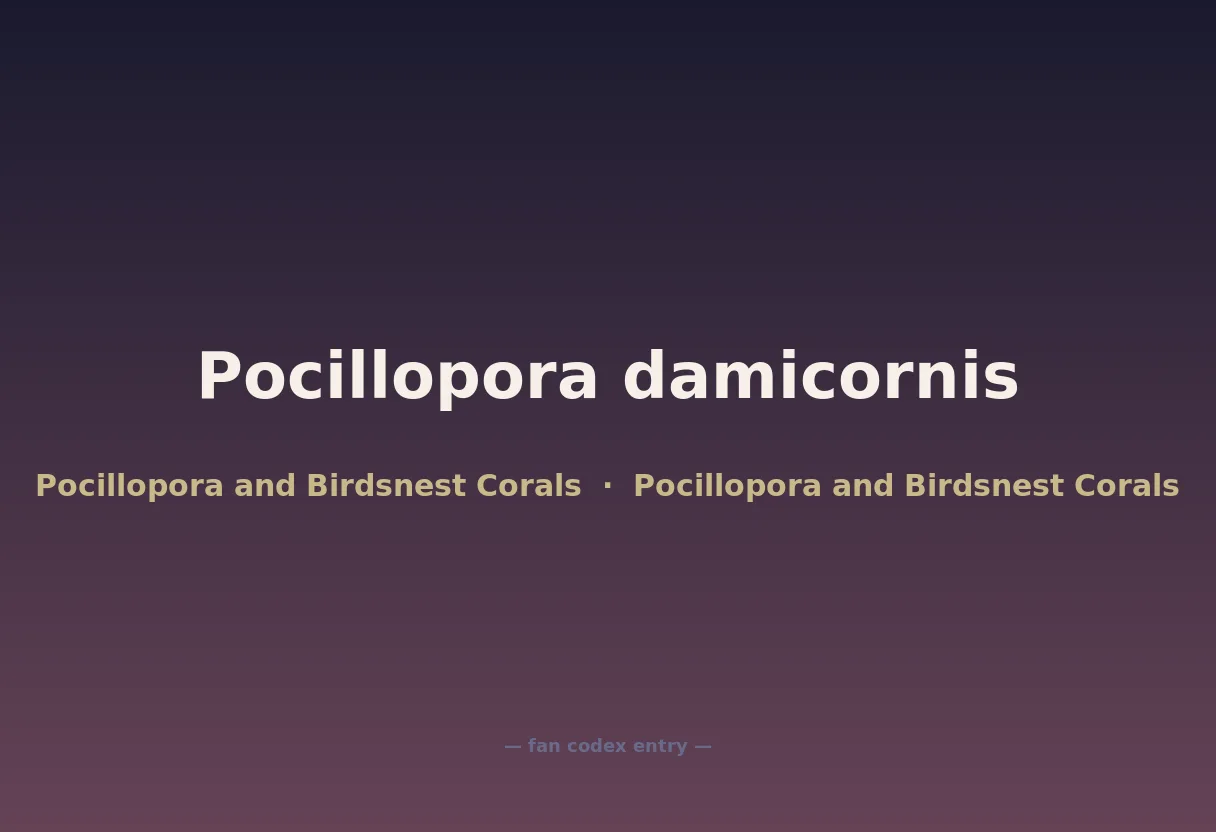 Pocillopora damicornis