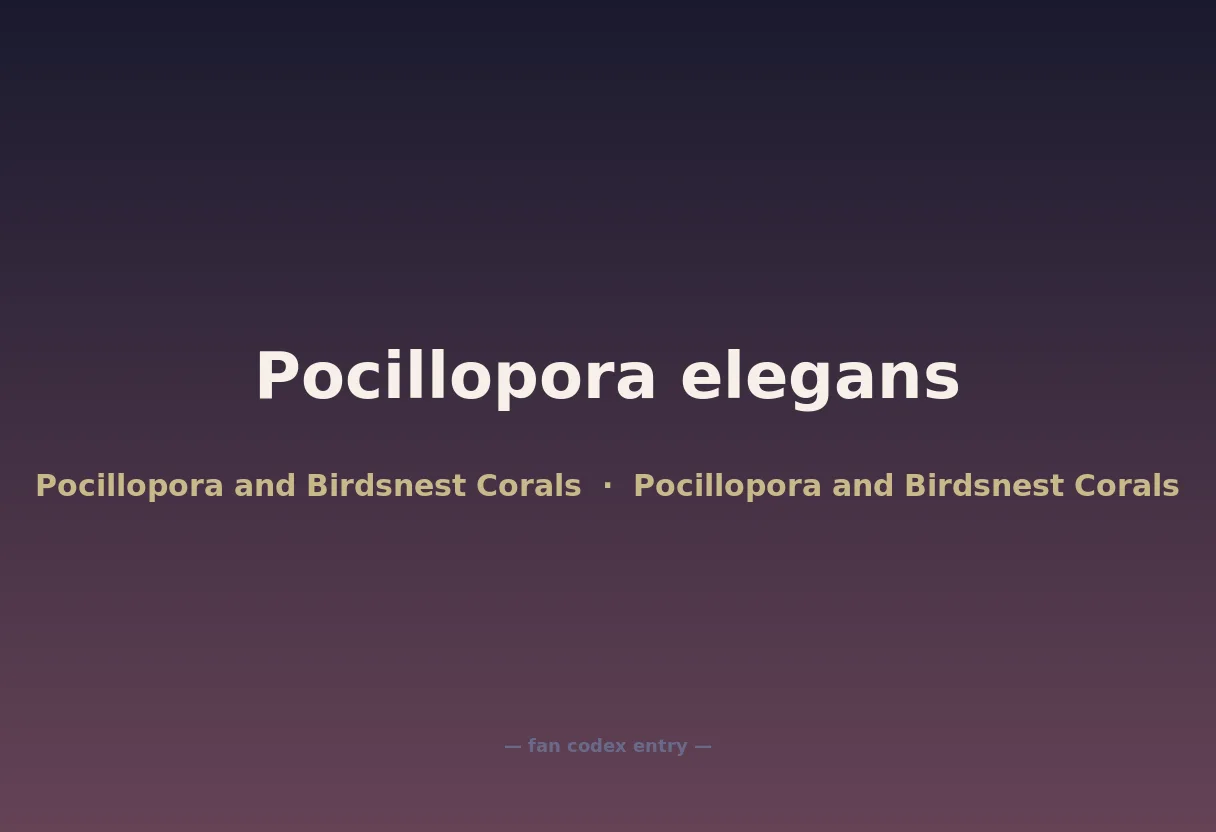 Pocillopora elegans