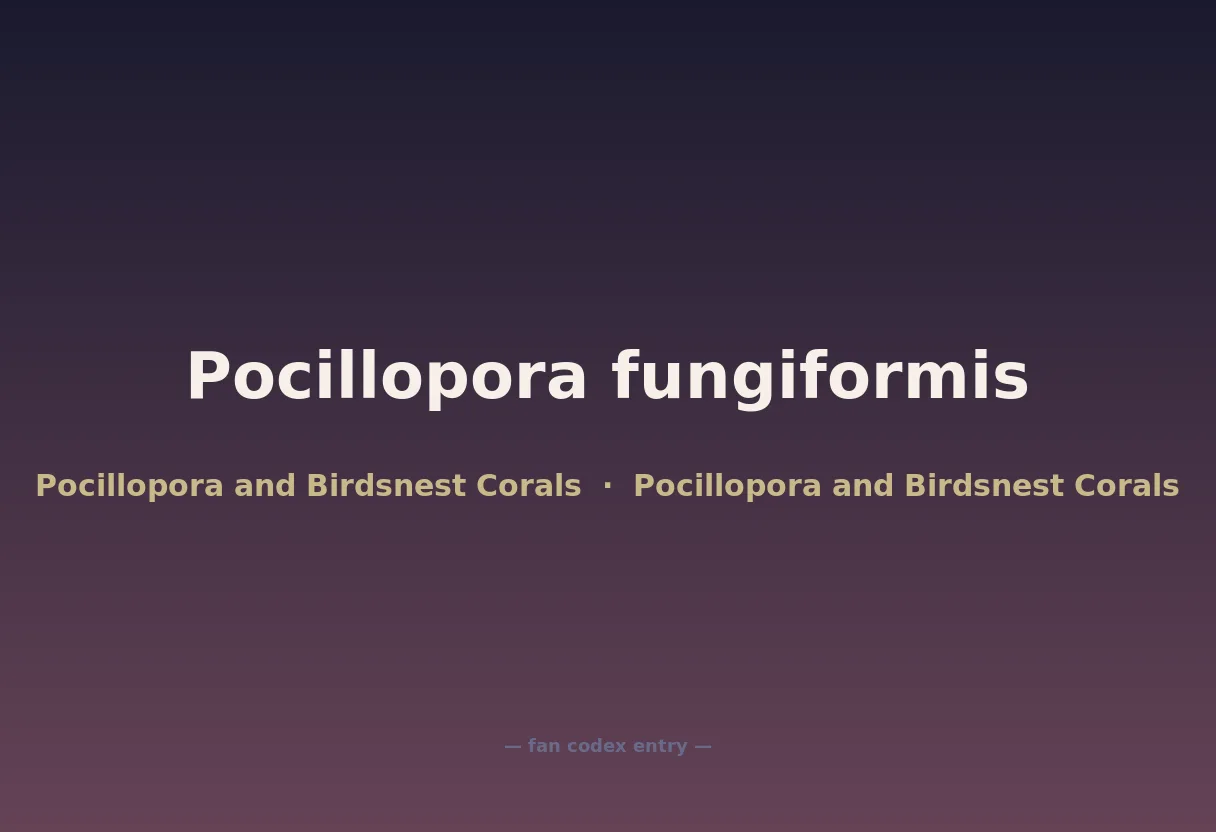 Pocillopora fungiformis